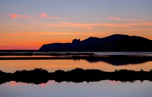 Ses Salines : un sanctuaire pour les amoureux de la nature à Ibiza