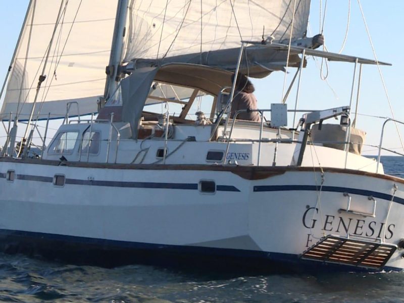 Hanuman (Mcarthur45)